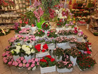 Kwiatex. Kwiaciarnia